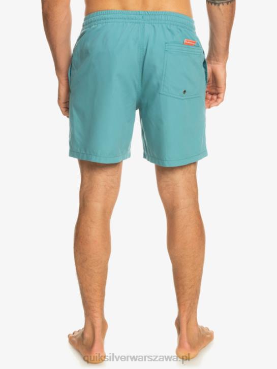 mężczyźni Quiksilver codziennie 17 salw 4DBV627 bretoński niebieski