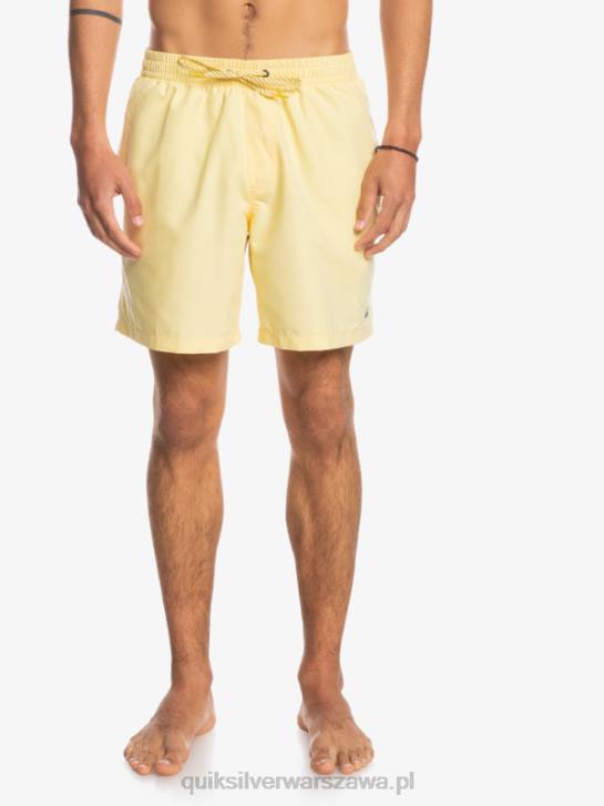 mężczyźni Quiksilver codziennie 17 salw 4DBV628 blady banan