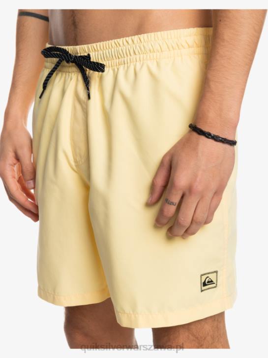 mężczyźni Quiksilver codziennie 17 salw 4DBV628 blady banan