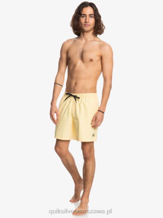 mężczyźni Quiksilver codziennie 17 salw 4DBV628 blady banan