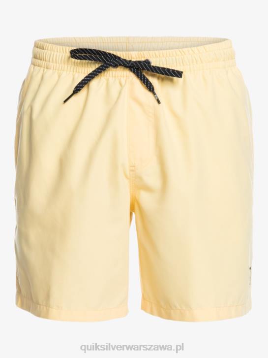 mężczyźni Quiksilver codziennie 17 salw 4DBV628 blady banan