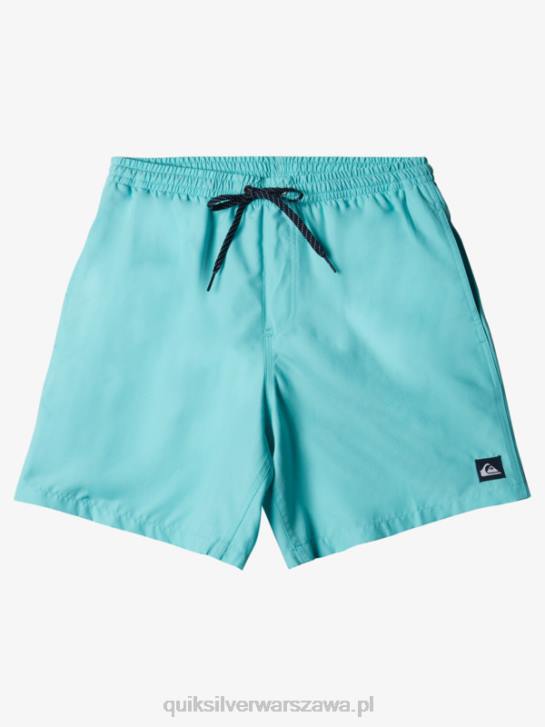 mężczyźni Quiksilver codziennie 17 salw 4DBV630 anioł niebieski wrzos