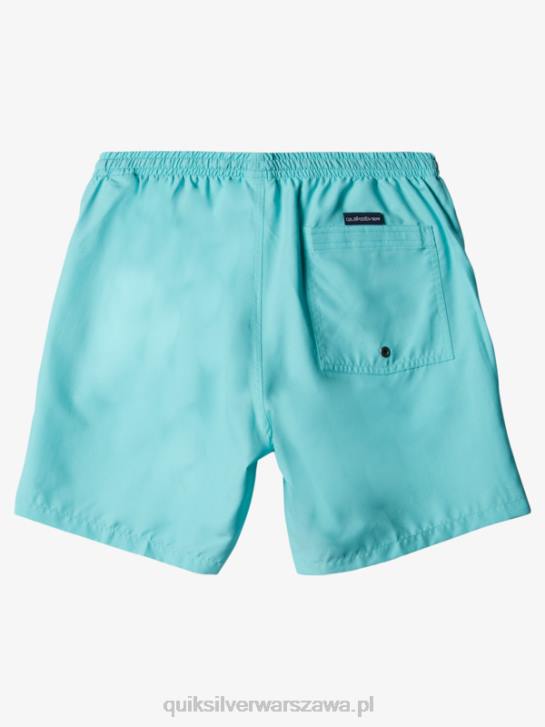 mężczyźni Quiksilver codziennie 17 salw 4DBV630 anioł niebieski wrzos