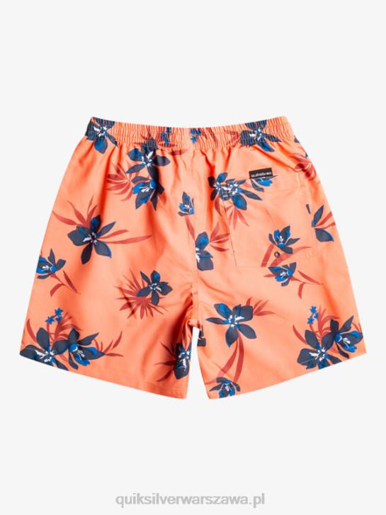mężczyźni Quiksilver codziennie miksuj 17 wolejów 4DBV1209 świeży łosoś