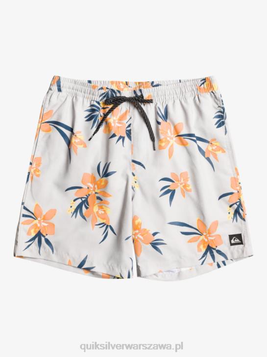 mężczyźni Quiksilver codziennie miksuj 17 wolejów 4DBV1210 szary fiolet