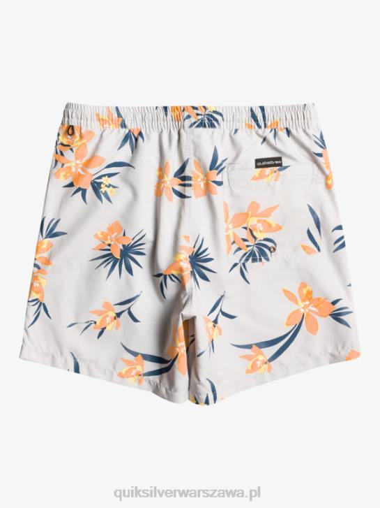 mężczyźni Quiksilver codziennie miksuj 17 wolejów 4DBV1210 szary fiolet