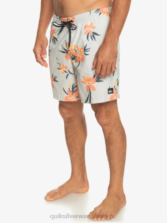 mężczyźni Quiksilver codziennie miksuj 17 wolejów 4DBV1210 szary fiolet