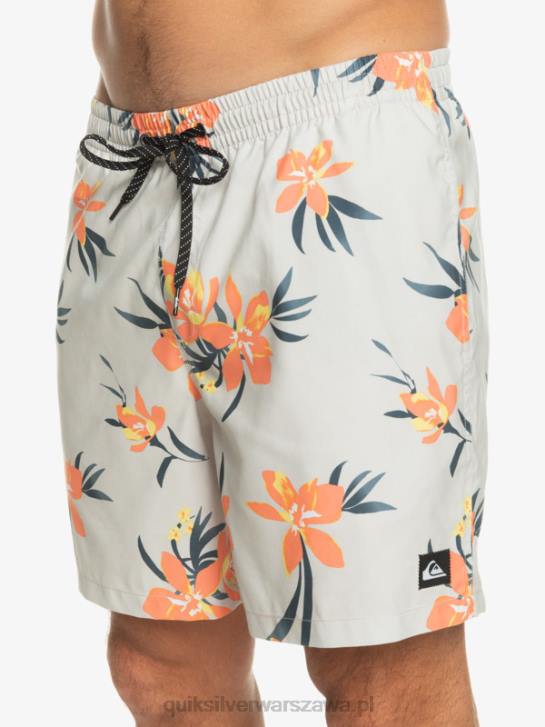 mężczyźni Quiksilver codziennie miksuj 17 wolejów 4DBV1210 szary fiolet