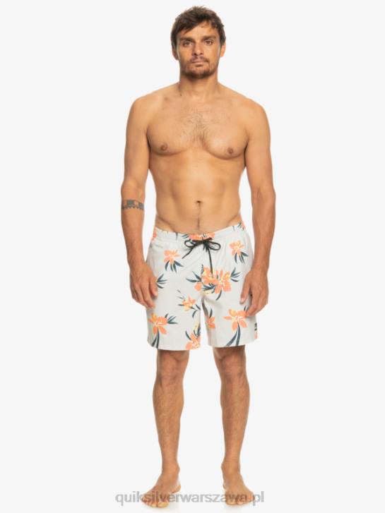 mężczyźni Quiksilver codziennie miksuj 17 wolejów 4DBV1210 szary fiolet