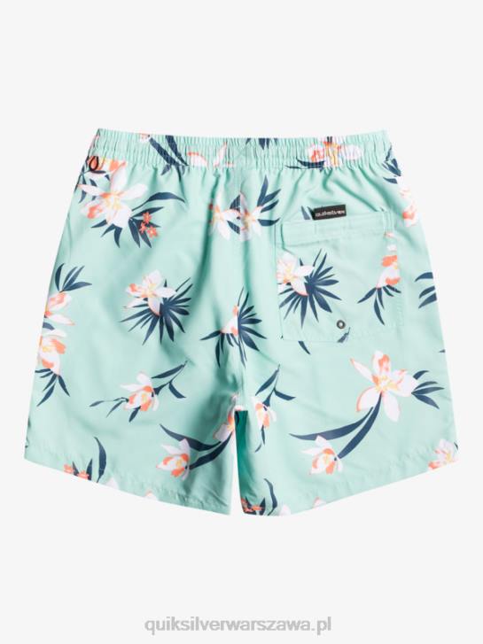 mężczyźni Quiksilver codziennie miksuj 17 wolejów 4DBV1211 szkło plażowe