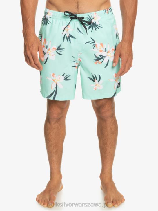 mężczyźni Quiksilver codziennie miksuj 17 wolejów 4DBV1211 szkło plażowe