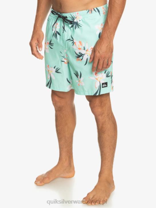 mężczyźni Quiksilver codziennie miksuj 17 wolejów 4DBV1211 szkło plażowe