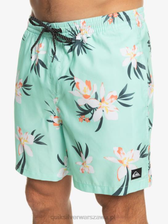 mężczyźni Quiksilver codziennie miksuj 17 wolejów 4DBV1211 szkło plażowe