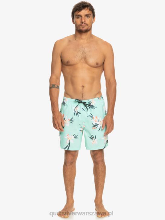 mężczyźni Quiksilver codziennie miksuj 17 wolejów 4DBV1211 szkło plażowe
