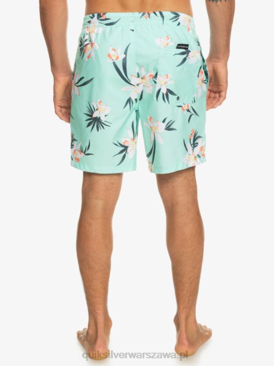 mężczyźni Quiksilver codziennie miksuj 17 wolejów 4DBV1211 szkło plażowe