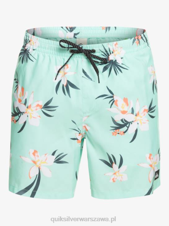 mężczyźni Quiksilver codziennie miksuj 17 wolejów 4DBV1211 szkło plażowe