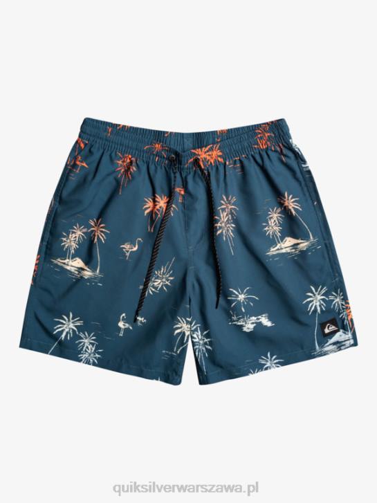 mężczyźni Quiksilver codziennie miksuj 17 wolejów 4DBV1465 niebieski majolikowy