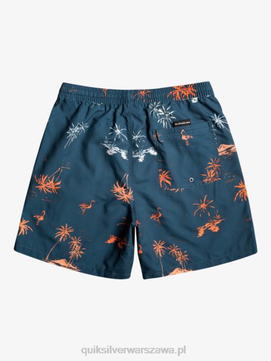 mężczyźni Quiksilver codziennie miksuj 17 wolejów 4DBV1465 niebieski majolikowy