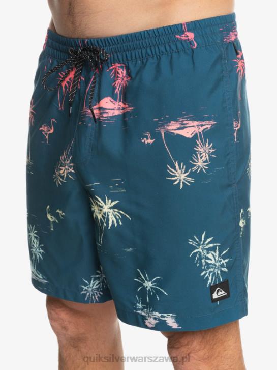 mężczyźni Quiksilver codziennie miksuj 17 wolejów 4DBV1465 niebieski majolikowy