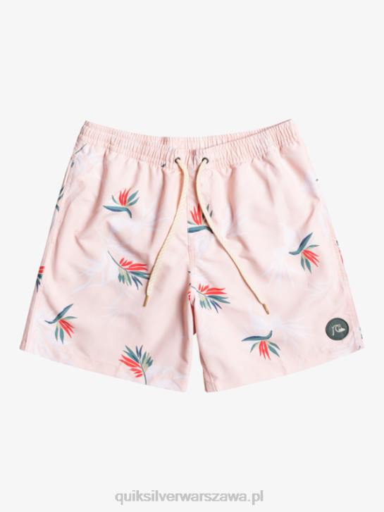 mężczyźni Quiksilver codziennie miksuj 17 wolejów 4DBV1467 zasłonięta róża