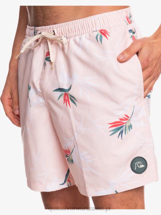 mężczyźni Quiksilver codziennie miksuj 17 wolejów 4DBV1467 zasłonięta róża