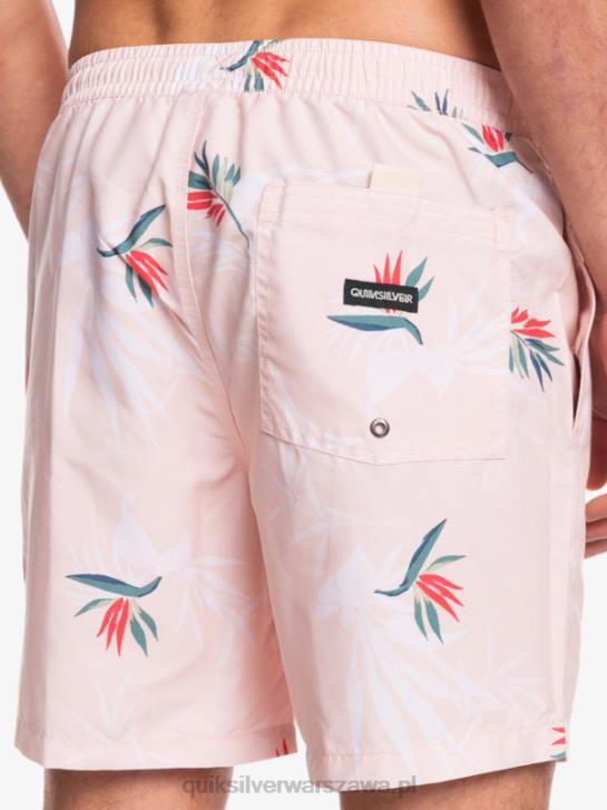 mężczyźni Quiksilver codziennie miksuj 17 wolejów 4DBV1467 zasłonięta róża