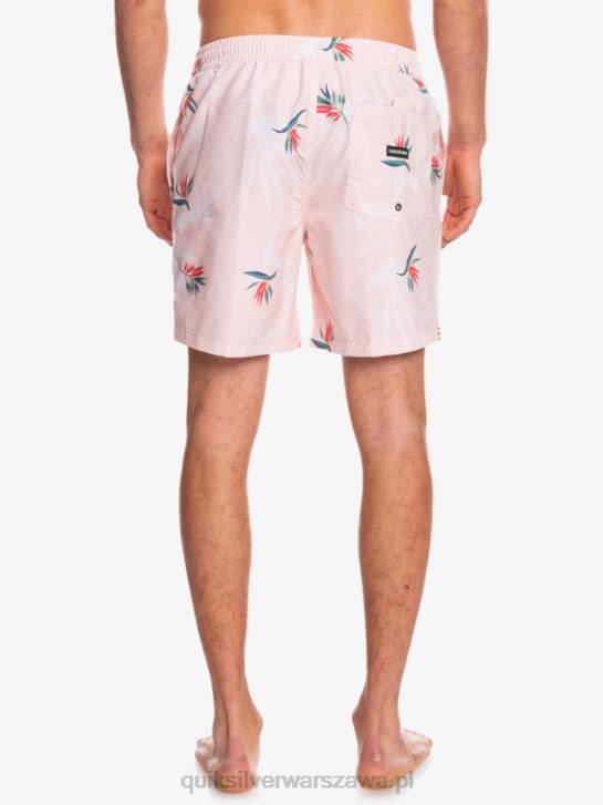 mężczyźni Quiksilver codziennie miksuj 17 wolejów 4DBV1467 zasłonięta róża