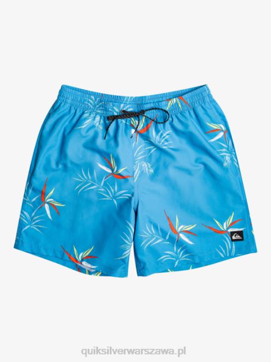 mężczyźni Quiksilver codziennie miksuj 17 wolejów 4DBV674 azurowy niebieski