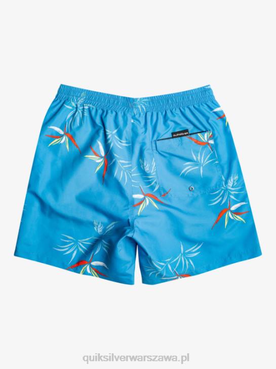 mężczyźni Quiksilver codziennie miksuj 17 wolejów 4DBV674 azurowy niebieski