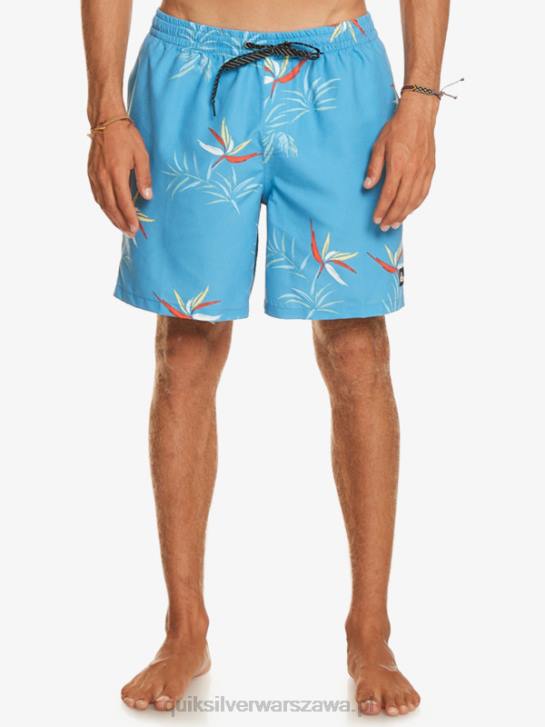 mężczyźni Quiksilver codziennie miksuj 17 wolejów 4DBV674 azurowy niebieski