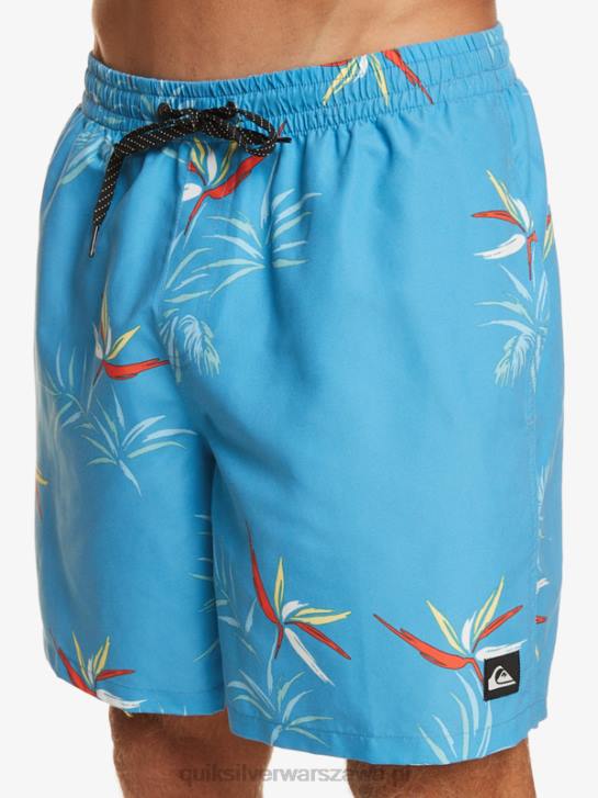 mężczyźni Quiksilver codziennie miksuj 17 wolejów 4DBV674 azurowy niebieski