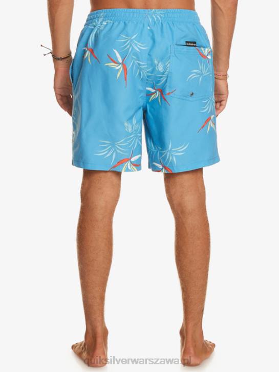 mężczyźni Quiksilver codziennie miksuj 17 wolejów 4DBV674 azurowy niebieski