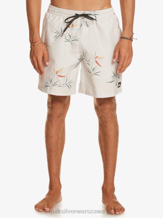 mężczyźni Quiksilver codziennie miksuj 17 wolejów 4DBV676 brzozowy