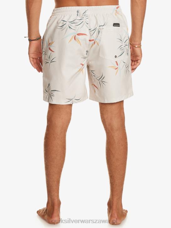 mężczyźni Quiksilver codziennie miksuj 17 wolejów 4DBV676 brzozowy