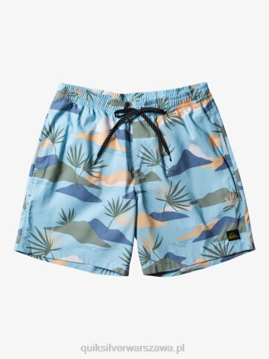 mężczyźni Quiksilver codziennie miksuj 17 wolejów 4DBV677 niebieskie niebo