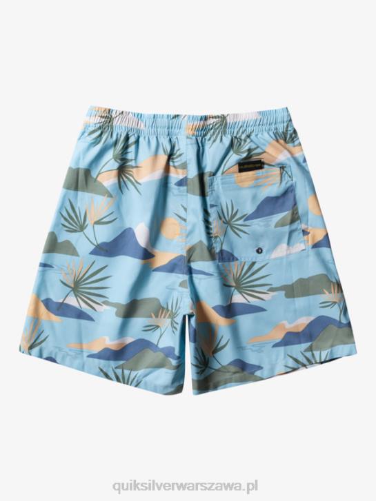 mężczyźni Quiksilver codziennie miksuj 17 wolejów 4DBV677 niebieskie niebo