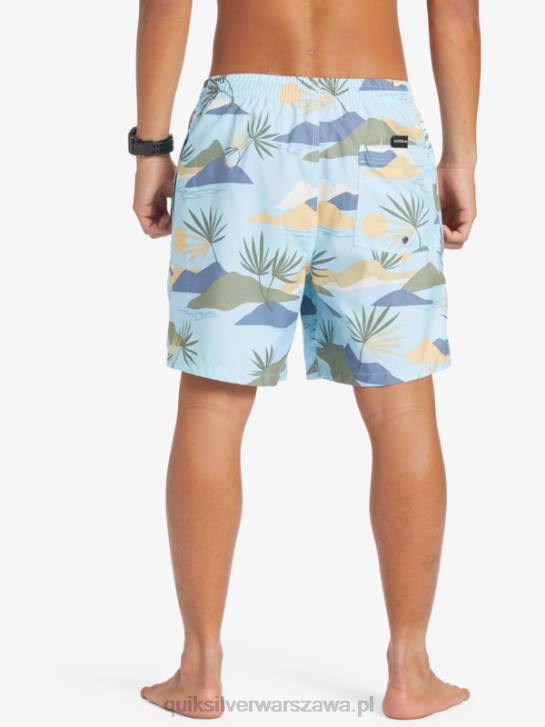 mężczyźni Quiksilver codziennie miksuj 17 wolejów 4DBV677 niebieskie niebo