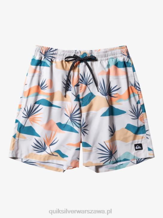 mężczyźni Quiksilver codziennie miksuj 17 wolejów 4DBV678 brzozowy