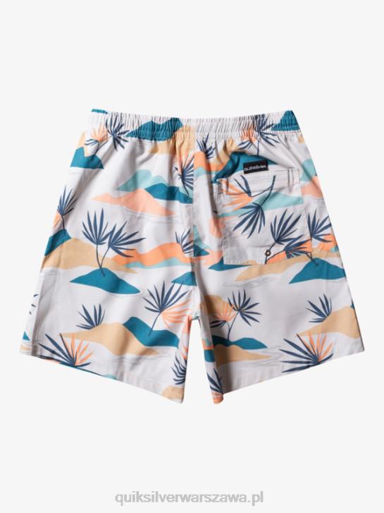 mężczyźni Quiksilver codziennie miksuj 17 wolejów 4DBV678 brzozowy