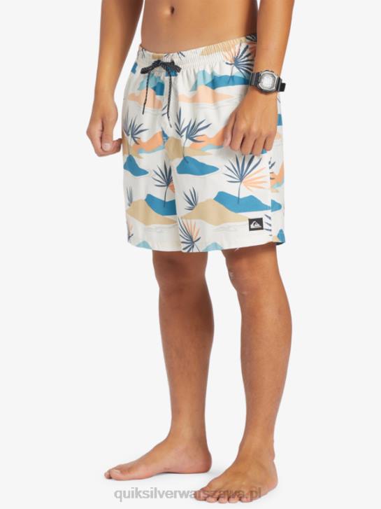 mężczyźni Quiksilver codziennie miksuj 17 wolejów 4DBV678 brzozowy