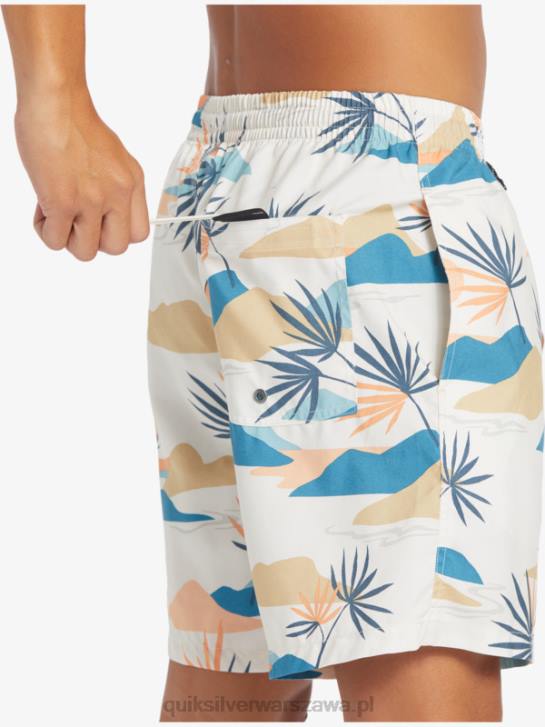 mężczyźni Quiksilver codziennie miksuj 17 wolejów 4DBV678 brzozowy