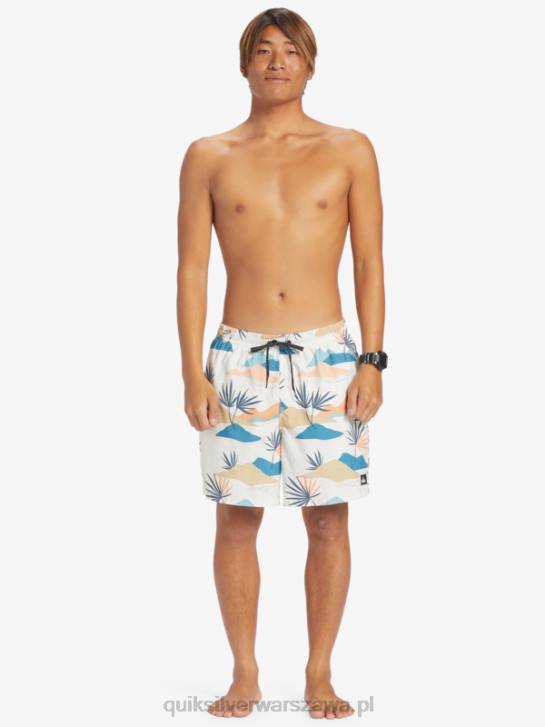 mężczyźni Quiksilver codziennie miksuj 17 wolejów 4DBV678 brzozowy