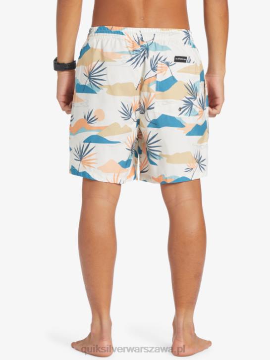 mężczyźni Quiksilver codziennie miksuj 17 wolejów 4DBV678 brzozowy