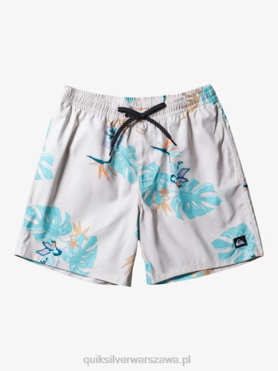 mężczyźni Quiksilver codziennie miksuj 17 wolejów 4DBV679 biały