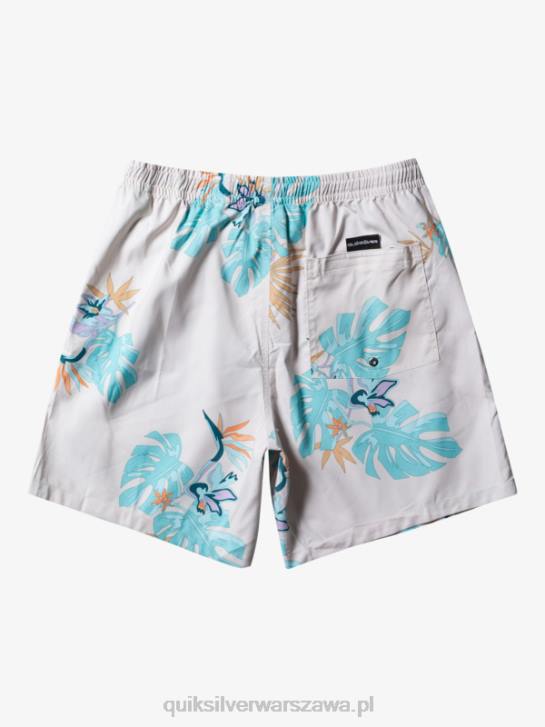 mężczyźni Quiksilver codziennie miksuj 17 wolejów 4DBV679 biały
