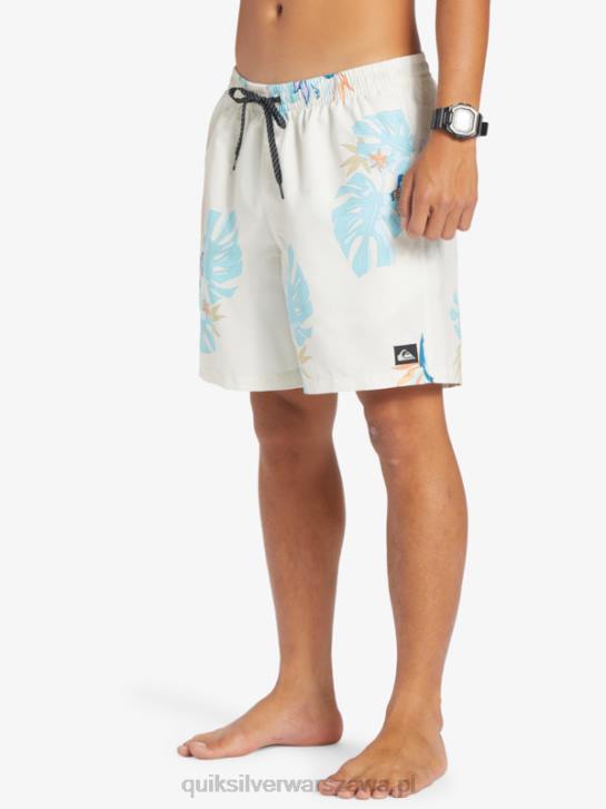 mężczyźni Quiksilver codziennie miksuj 17 wolejów 4DBV679 biały