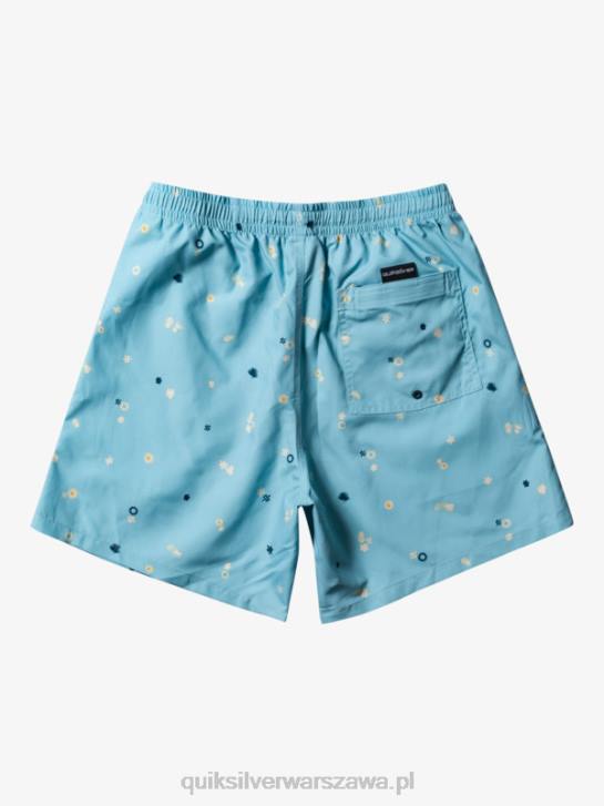 mężczyźni Quiksilver codziennie miksuj 17 wolejów 4DBV680 niebiański błękit