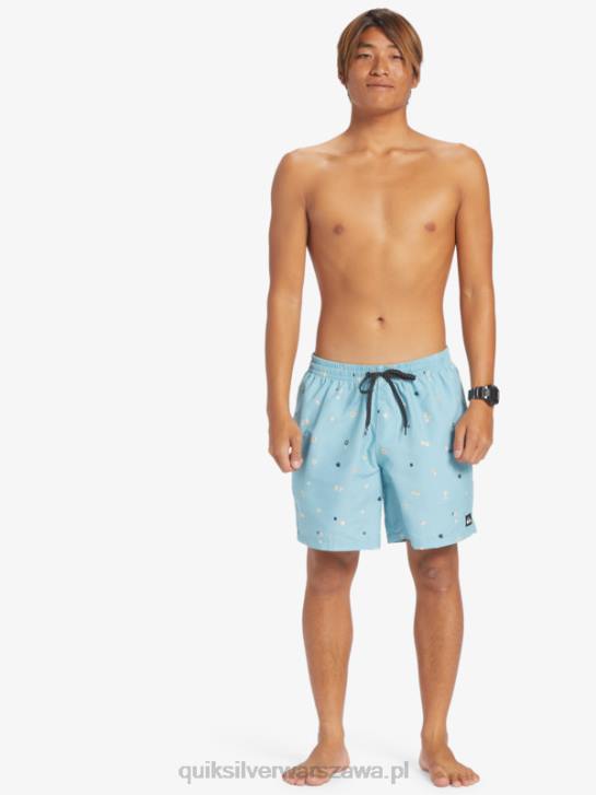 mężczyźni Quiksilver codziennie miksuj 17 wolejów 4DBV680 niebiański błękit
