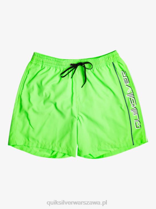 mężczyźni Quiksilver codziennie vert 16 wolejów 4DBV696 zielony gekon