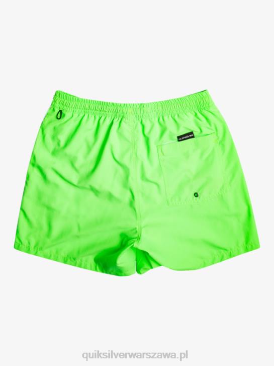 mężczyźni Quiksilver codziennie vert 16 wolejów 4DBV696 zielony gekon